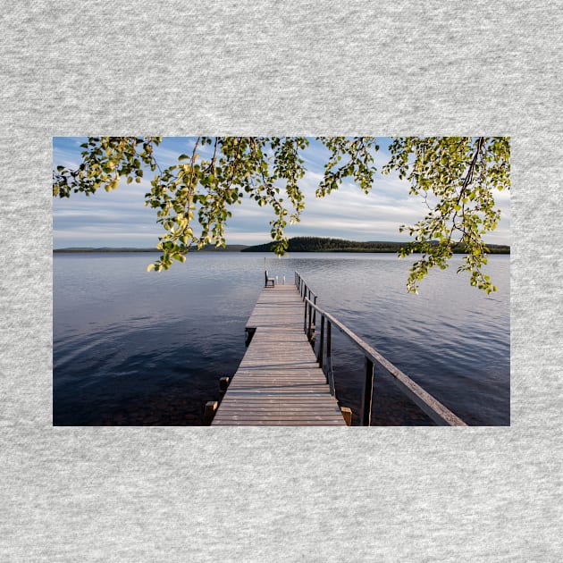 The Birch-Framed Jetty by krepsher